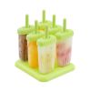 Reusable Plastic Popsicle Mold For Homemade Iced Snacks